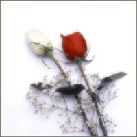 Virtual assistant  | Virtueller Assistent