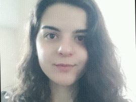 Virtuelle Asssistentin, Datenerfasser