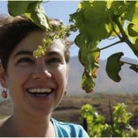 Weinmarketing/Vertrieb, Tourismuskauffrau, Reiseleiter | Personal aus dem Ausland