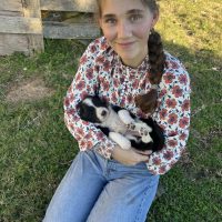 Einzelhandel | Virtueller Assistent