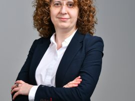 Auditor im Qualitätsbereich, Risikomanagement, Einkauf und Logistik