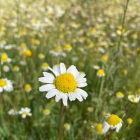 Pc Arbeit | Assistent der Geschäftsleitung