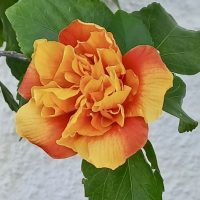 Rohstoff- und Energieberater, Textgestalter und Lektor | eassistentin