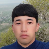 Bauingenieur oder Bauhelfer  | Chat Mitarbeiter