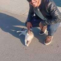 Bautechnique | Remote Working