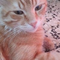 Biologie Assistentin  | E Assistentin