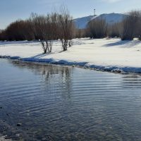 lehrerin | Assistent der Geschäftsleitung