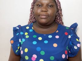 Online-Redakteur, Korrekturleser 