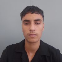 Ich möchte als Übersetzer oder Berater arbeiten  | Virtueller Assistent