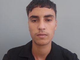 Ich möchte als Übersetzer oder Berater arbeiten 